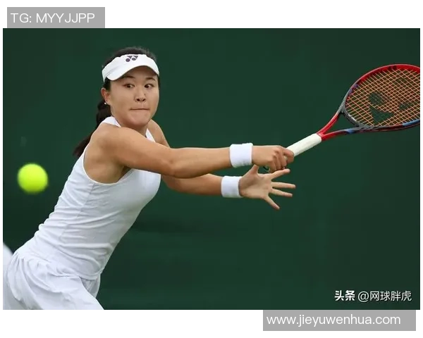 上海网球队锦标赛个人能力表现全面分析与点评
