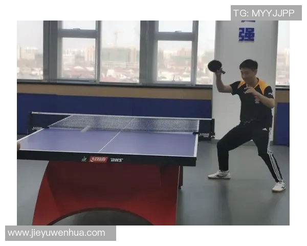李磊专访揭秘乒乓球成功秘诀与训练心得分享 李磊专访揭秘乒乓球成功秘诀与训练心得分享