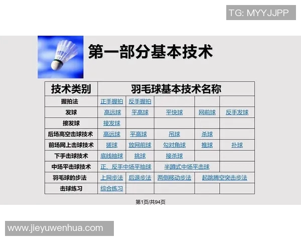 羽毛球战术解析杭州羽毛球队包夹体系的优势与应用探讨